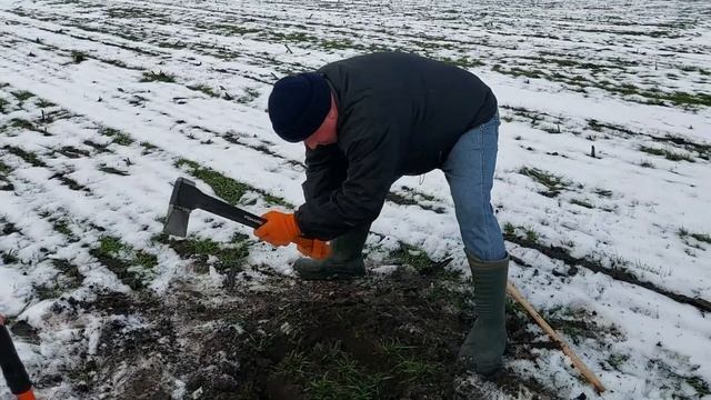Практичні поради по відбору монолітів на озимих культурах. смотреть онлайн