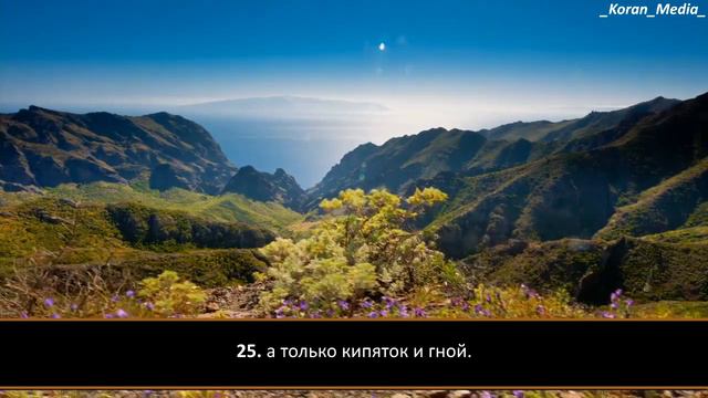 Исрапал Цумалигов - Сура 78 "ан-Набаъ" (Весть) смотреть онлайн