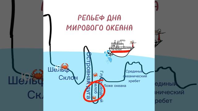 Рельеф дна Мирового океана 🌊 #география #домашнеезадание #океан смотреть онлайн