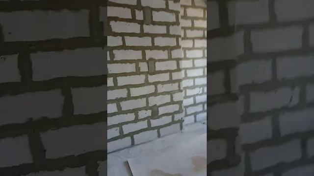 29 августа 2022 г.