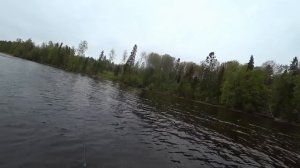 ВОБЛЕР  O.S.P BENT MINNOW 106  СДЕЛАЛ ВСЮ РЫБАЛКУ