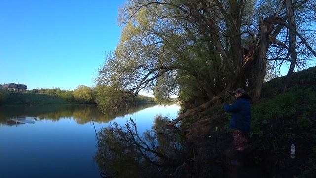 Ловили КАРАСЯ, а поймали ЭТО. Можно ли эту рыбу забирать? смотреть онлайн