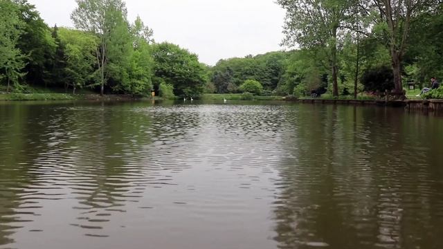 ЗВУКИ ЛЕСА, ПЕНИЕ ПТИЦ В 8Д СЛУШАТЬ В НАУШНИКАХ / SOUNDS OF THE ?FOREST IN 8D LISTEN WITH HEADPHONE смотреть онлайн