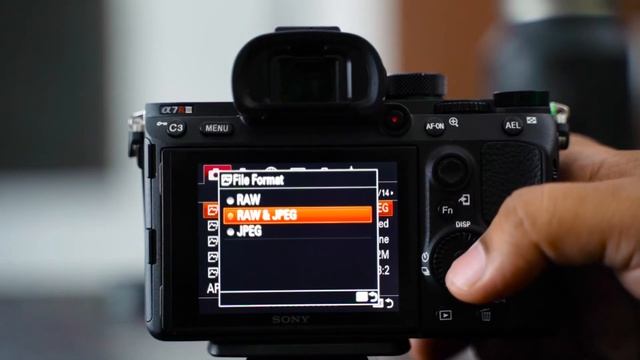 SONY A7RIII CAMERA SETTING | SONY A7III USER GUIDE | MENU SETTINGS | Hindi and Urdu смотреть онлайн