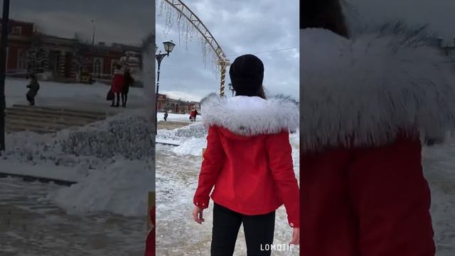Парка с капюшоном, цвет красный, дополнительный мех: песец/чернобурка/лиса (на выбор) смотреть онлайн