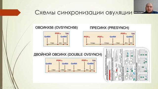 2 Внедрение искусственного осеменения смотреть онлайн