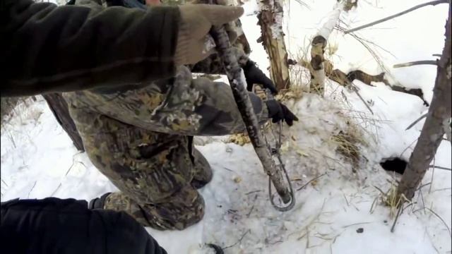 хитрый бобер смотреть онлайн
