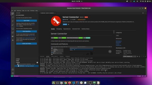 Debugging Java EE Applications from Visual Studio Code смотреть онлайн