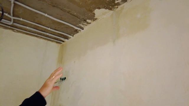 ДАЙТЕ ЕЙ ВЫСОХНУТЬ! ВЛАЖНЫЕ СТЕНЫ В КВАРТИРЕ! ЧТО ДЕЛАТЬ?5 смотреть онлайн