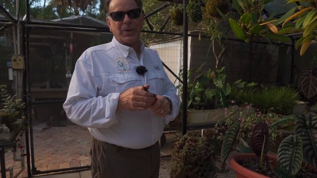 Tour DOC BLOCK'S CONSERVATORY & GREENHOUSE — Ep. 302 смотреть онлайн