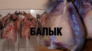 КАК ЗАСОЛИТЬ КРУПНОГО КАРАСЯ | БАЛЫК ИЗ КАРАСЯ | РЕЦЕПТ.