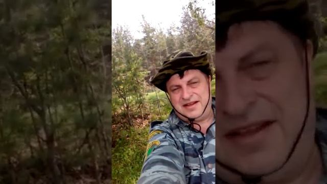 рыбалка на Нижнеуфалейском пруду. смотреть онлайн