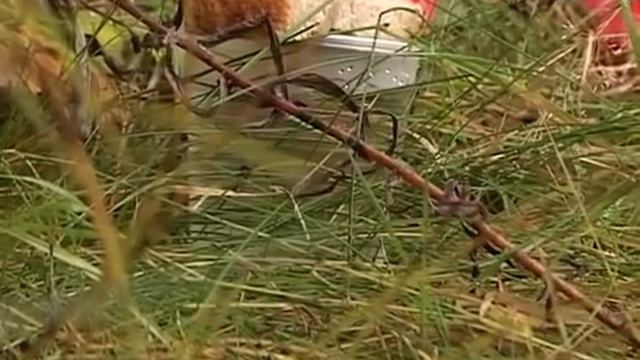 Имена погибших солдат назвали спустя 70 лет смотреть онлайн