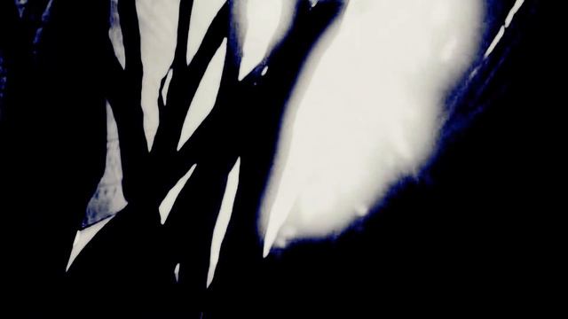 Clopin {Flynn}/Rapunzel {Eilonwy}-- A Moment You Can't Forget {Part 2} смотреть онлайн