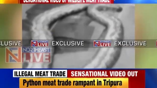 Sensational video | Python meat trade rampant in Tripura смотреть онлайн