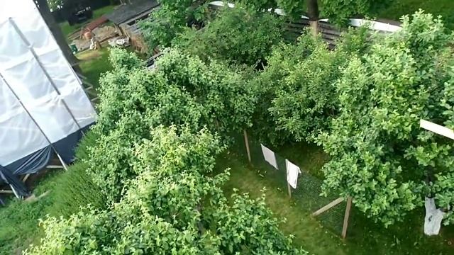 (Не)авторская кровля на берегу Ильменя. смотреть онлайн