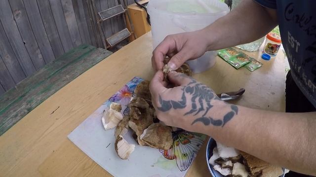 КАК ВЫРАСТИТЬ ГРИБЫ НА ДАЧЕ ДЕЛАЕМ МИЦЕЛИЙ ПОДБЕРЁЗОВИКОВ ШАМПИНЬОНОВ САЖАЕМ ГРИБЫ НА СВОЁМ УЧАСТКЕ смотреть онлайн