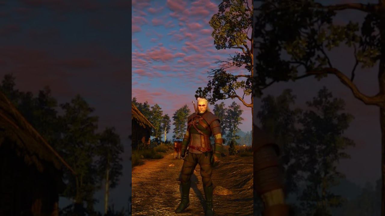 Ведьмак через знаки силы на максимальной сложности  #mrcatgame #ведьмак3 #thewitcher3