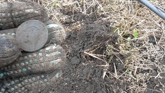 И все это я притащил домой... Находки с металлоискателем. смотреть онлайн