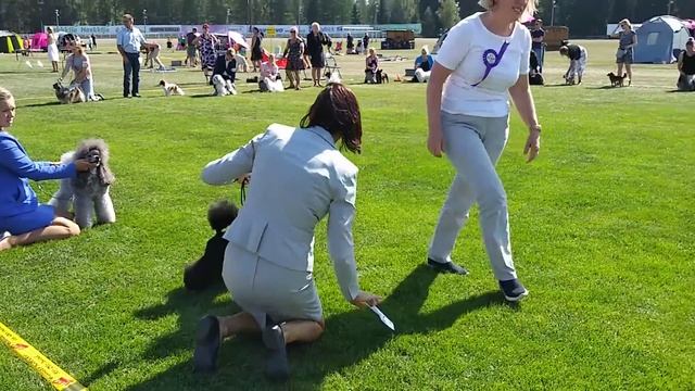 29.07.18г. Миккели (Финляндия). IDS. Литвикс Инфинити. Предварительный смотр перед Бэстом 9 группы. смотреть онлайн