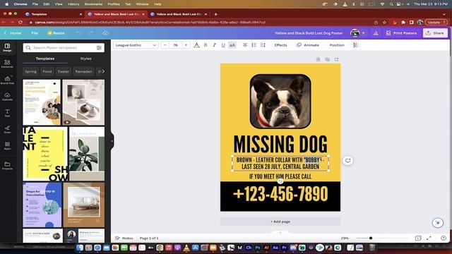 Canva AI Magic Design - How To Create A Missing Dog Poster In 90 Seconds (No Design Skill Required) смотреть онлайн