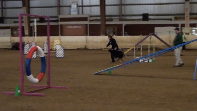 AKC Agility Trial. November 17th, 2012. Jan and Ryder. Standard Novice смотреть онлайн