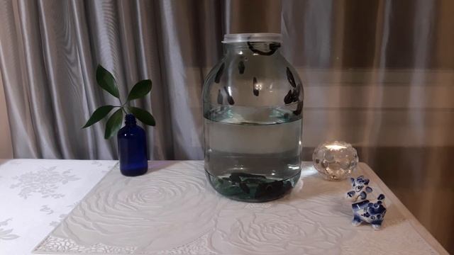 Поведение медицинских пиявок или как распознать их настроение смотреть онлайн