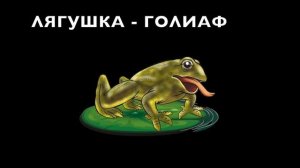 Лягушки и Ко "Новая версия" (Де Агостини 2018), видео-обзор, распаковка https://youtu.be/-J6A9A8hyI