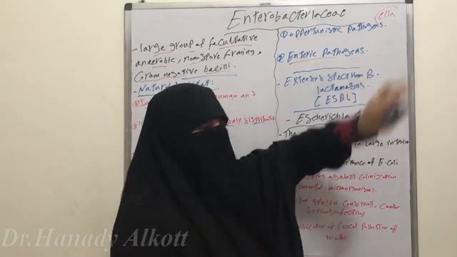 ??Enterobacteriaceae?? смотреть онлайн