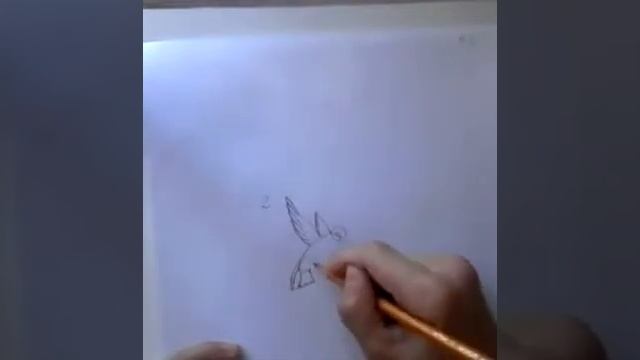 Как нарисовать колибри. смотреть онлайн