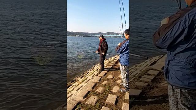 Трофей 12 кг.Рыбалка в южной корее смотреть онлайн