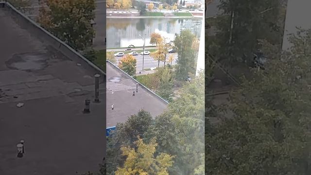 пакет из пятёрочки падает с крыши дома под трек лсп смотреть онлайн