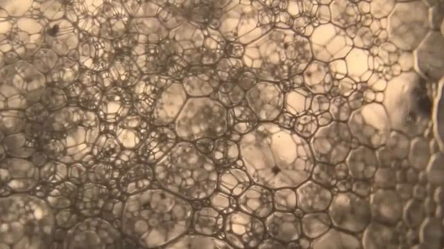 Вселенная - Грандиозное начало