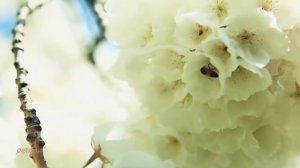 От зари до зари/христианская песня