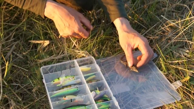 Приколы со съемок. Ящерица как приманка смотреть онлайн