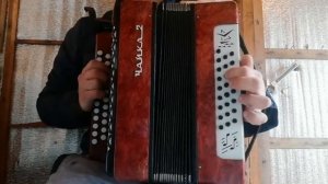 Разбор на гармони одинокая ветка сирени.