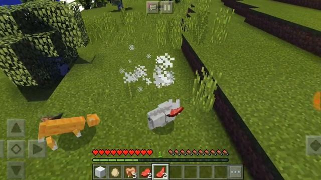 ЗНОКОМСТВО С КОТОМ/ЖИЗНЬ ЖИВОТНЫХ#1/Minecraft ? смотреть онлайн