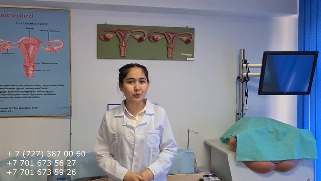 09130200 "Акушер ісі"/"Акушерское дело" смотреть онлайн