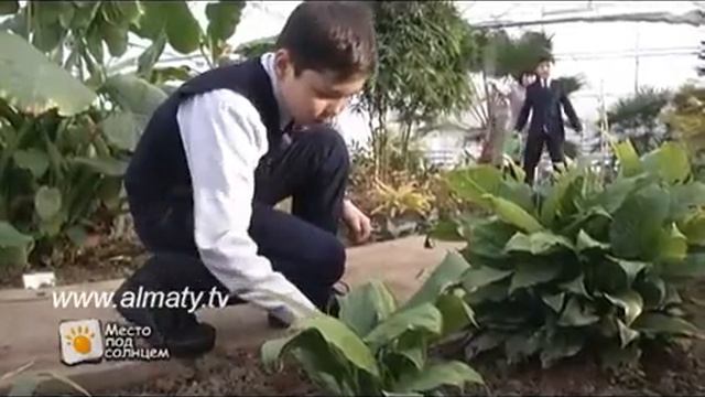Станция юных натуралистов смотреть онлайн