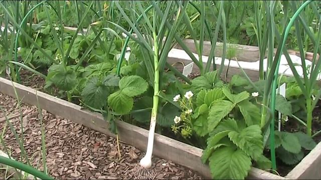 СтройХакер