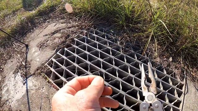 Fishing With Fake Maggots, Berkley Gulp Alive