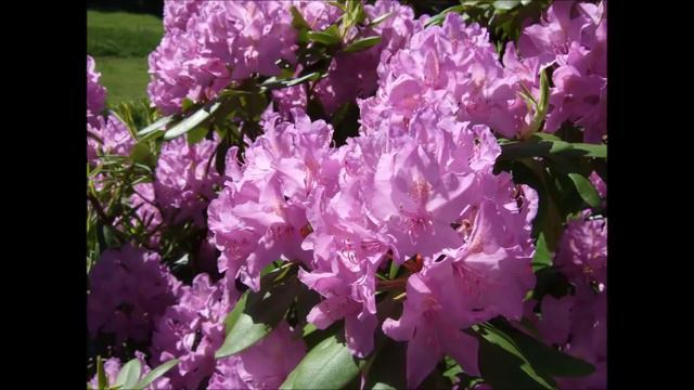 Meine Art Liebe zu zeigen смотреть онлайн