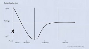 What is a Culture Shock?