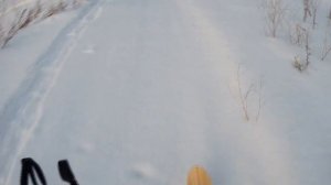 Охотничьи лыжи, лыжи Шатун, ЗАМЕНИТЕЛЬ КАМУСА