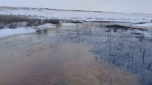 рыбхоз "Черноморец" весна 25.02.17г смотреть онлайн