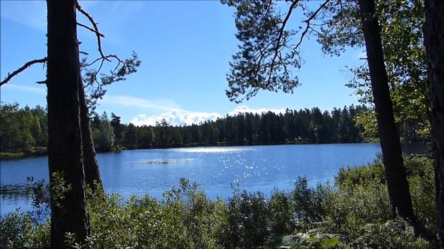 Едем с нами! На рыбалку! смотреть онлайн