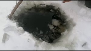 РЫБАЛКА на налима (Часть 7) #fishing подлёдная ловля налима на продольник