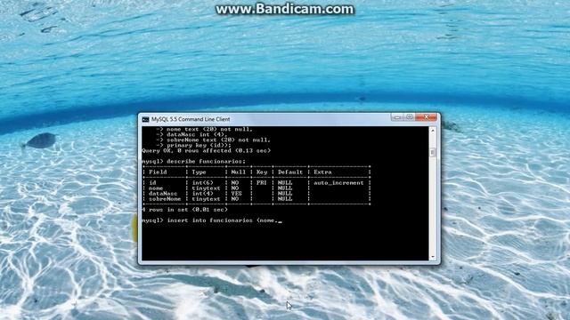 Tutorial Mysql parte 1 смотреть онлайн