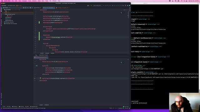 API Tutorial (Java) - Part 4: Maven Modules смотреть онлайн