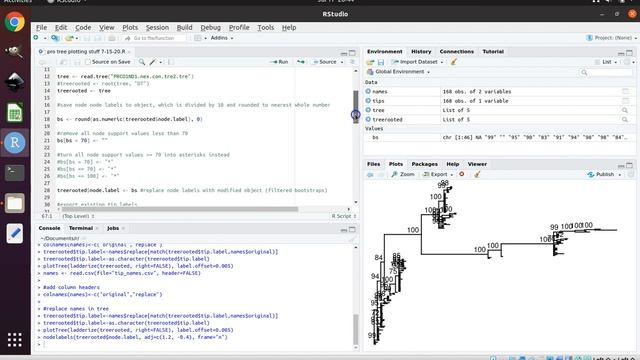 How to make a customizable publication-ready phylogeny figure using R and Inkscape (advanced) смотреть онлайн